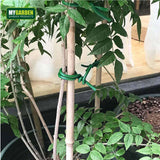 GARDEN TIE 12M*2.5MM