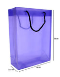 GIFT BAG PP LARGE ROPE HANDLED PURPLE
