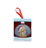 Santa Paws Glass Bauble Ginger Cat