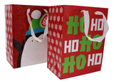 2 PK ASSORTED XMAS GIFT BAG