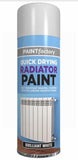 300ML QUICK DRYING RADIATOR PAINT WHITE