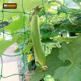 4M PEA & BEAN NETTING WITH 8 PLANT FIXING CLIPS