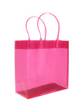 CLEAR PLASTIC GIFT BAG MEDIUM