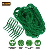 4M PEA & BEAN NETTING WITH 8 PLANT FIXING CLIPS