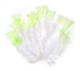 12 PC COLOR-TIP FEATHERS WHITE W/MINT GREEN