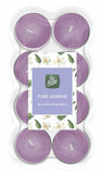 16 PK COLOUR TEA LIGHTS JASMINE