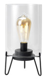 GLASS & BLACK METAL BATTERY LAMP LED BULB