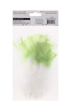 12 PC COLOR-TIP FEATHERS WHITE W/MINT GREEN