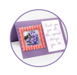 EPOXY FRAME MEDLEY BABY GIRL