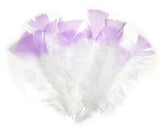 12 PC COLOR-TIP FEATHERS WHITE W/ LILAC