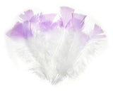 12 PC COLOR-TIP FEATHERS WHITE W/ LILAC