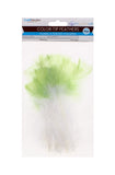 12 PC COLOR-TIP FEATHERS WHITE W/MINT GREEN