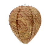 DECOY WASPS NEST