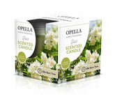 SCENTED GLASS CANDLE JASMINE BLOSSOM 255G