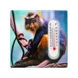 ASSORTED MONKEY DESIGN FRIDGE MAGNET THERMOMETER
