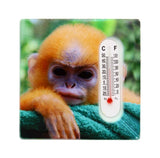 ASSORTED MONKEY DESIGN FRIDGE MAGNET THERMOMETER