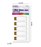 5PC MINI CRAFT GLASS JARS