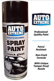 AUTO SPRAY PAINT GLOSS FINISH BLACK