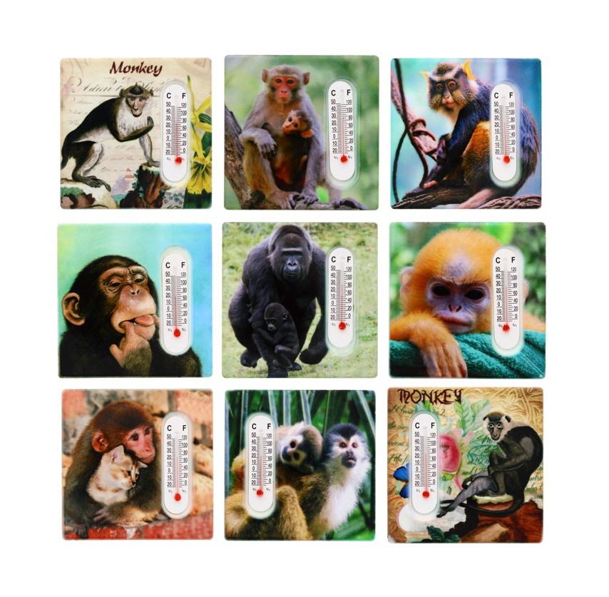 ASSORTED MONKEY DESIGN FRIDGE MAGNET THERMOMETER