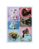 6PC DOG FRIDGE MAGNETS BY RACHAEL HALE