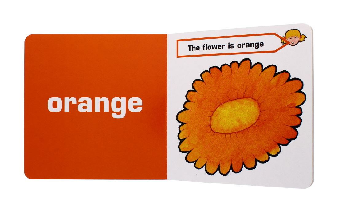 LORRAINE KELLY-COLOURS BOOK