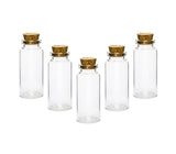 5PC MINI CRAFT GLASS JARS