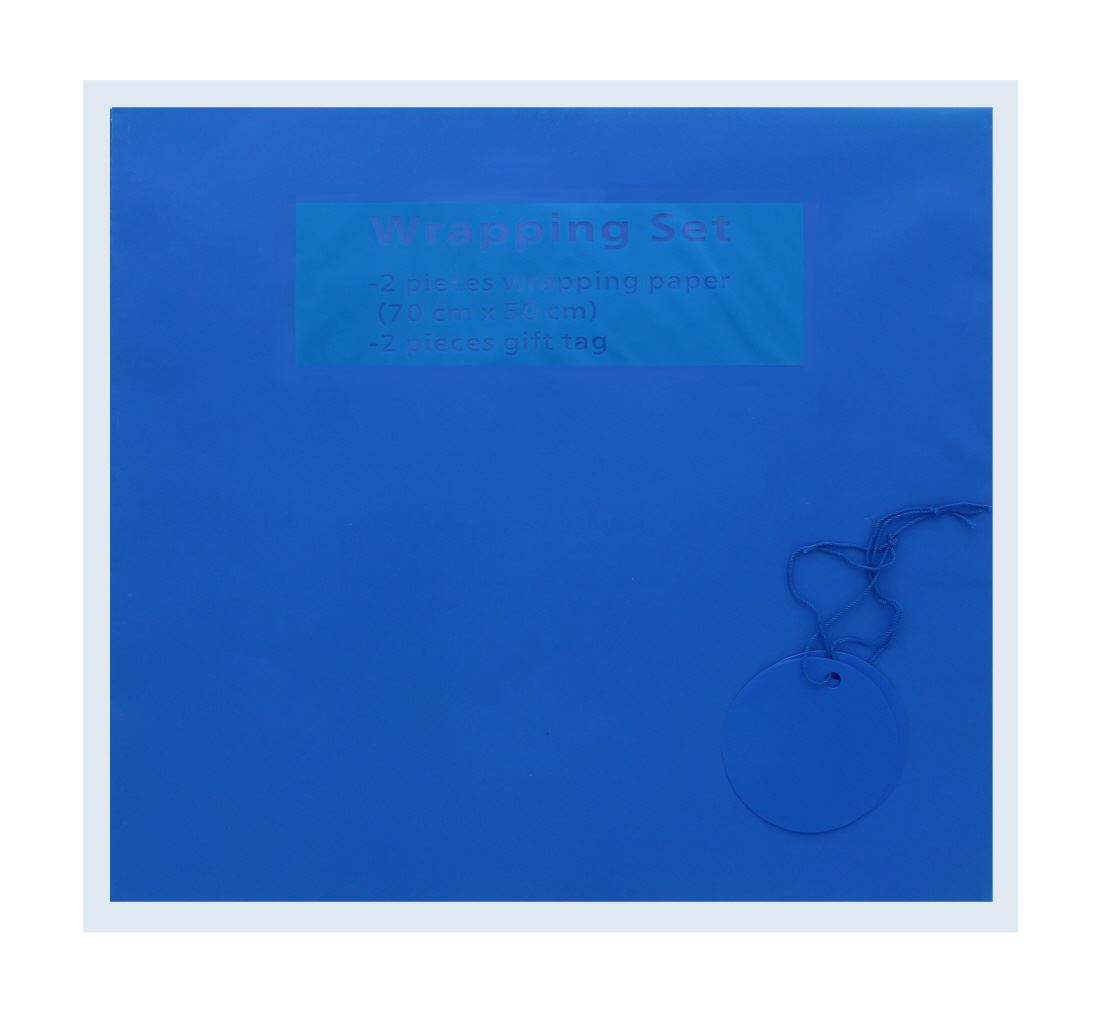 2 SHEET GIFT WRAP SET
