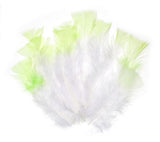 12 PC COLOR-TIP FEATHERS WHITE W/MINT GREEN