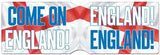 CARD HOLDER ENGLAND