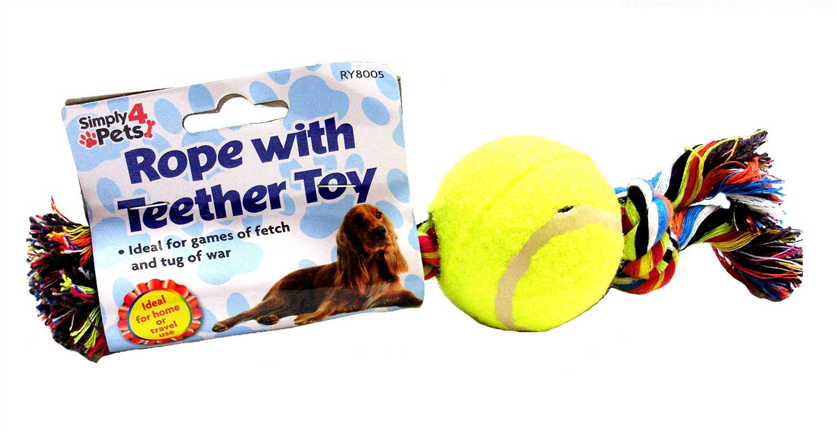 MATCHING DOG COLLAR AND HARNESS AST