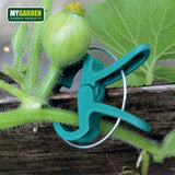 20PC PLANT CLIPS