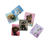 6PC DOG FRIDGE MAGNETS BY RACHAEL HALE