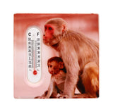 ASSORTED MONKEY DESIGN FRIDGE MAGNET THERMOMETER