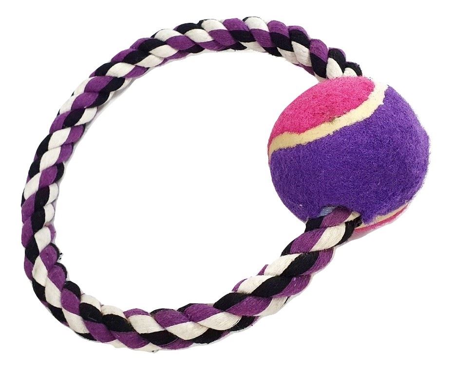 DOG PADDED HARNESS