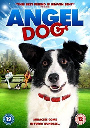 DVD ANGEL DOG