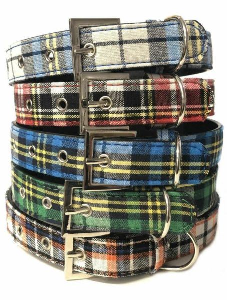 PET BUDDIES DOG COLLAR APPROX. 50CM X 2.5CM